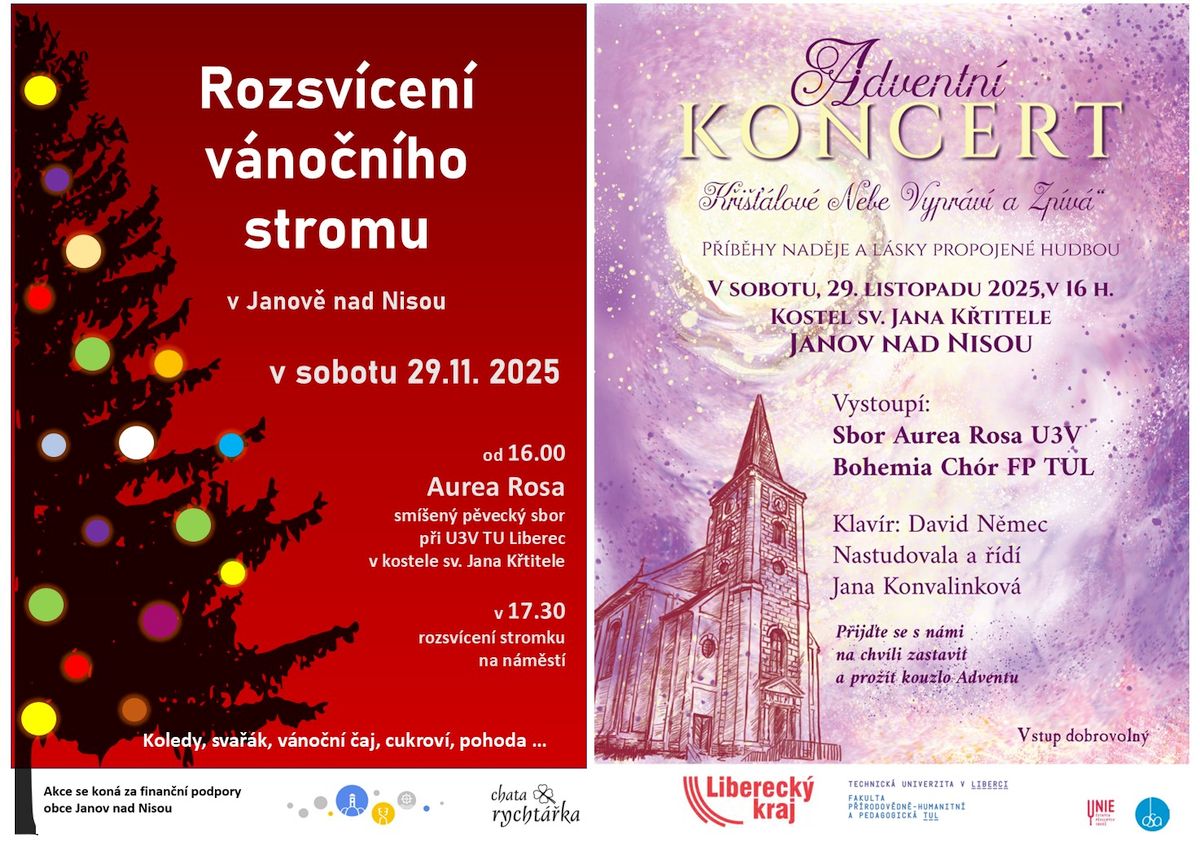 Rozsvícení vánčního stromu